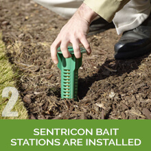 Sentricon Termite System San Antonio Texas