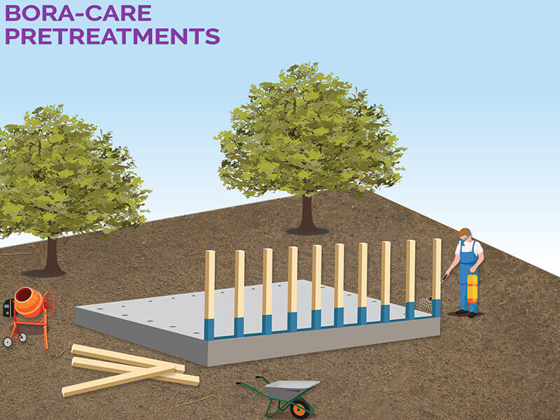 San Antonio Bora-Care Pretreatments copy