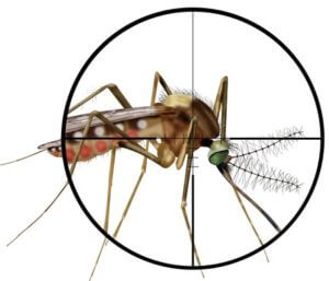 San Antonio Mosquito Control