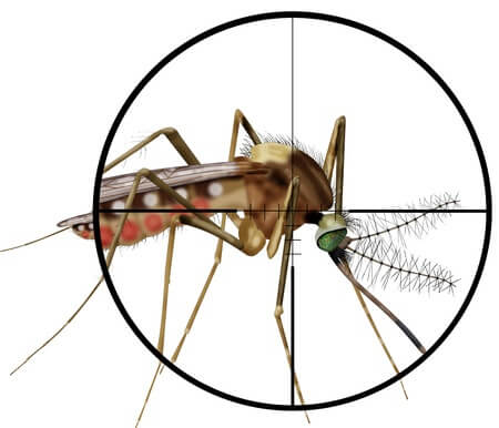 San Antonio Mosquito Control