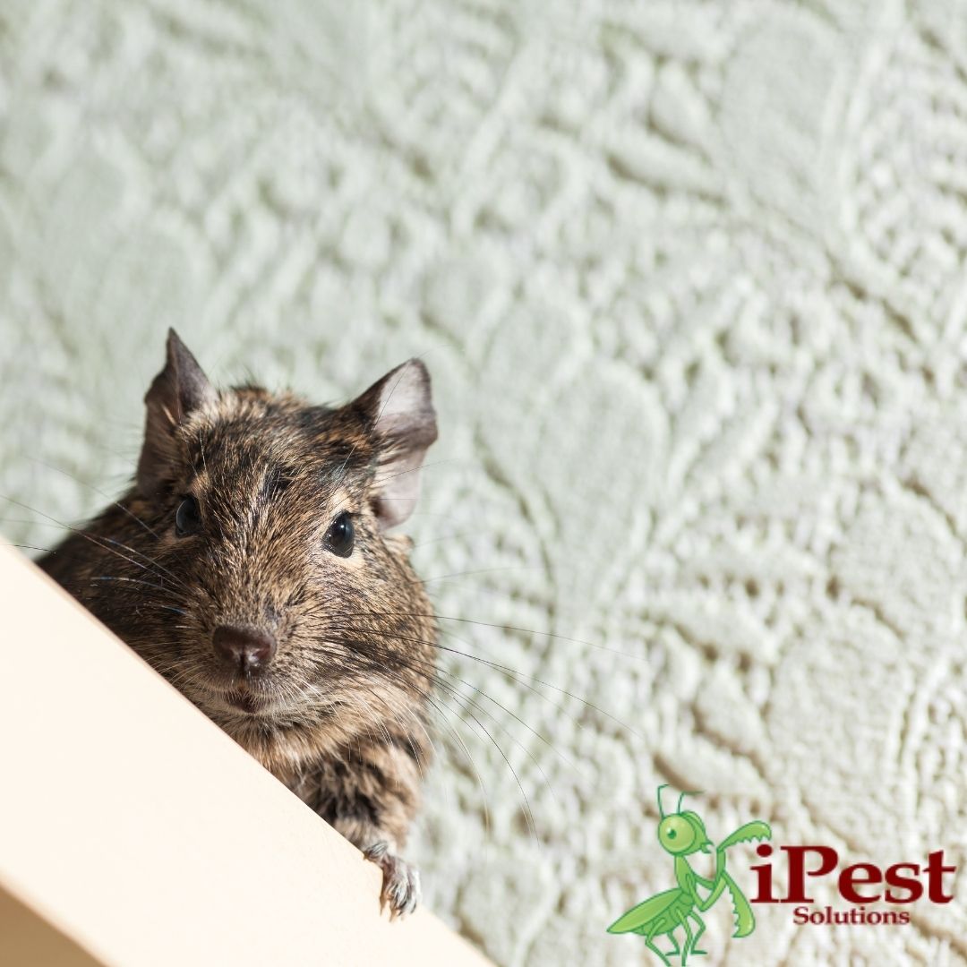 266158496_3031181700529403_6550646045756855755_n