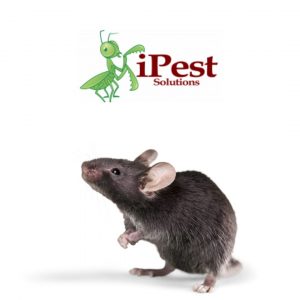 Mouse Control
