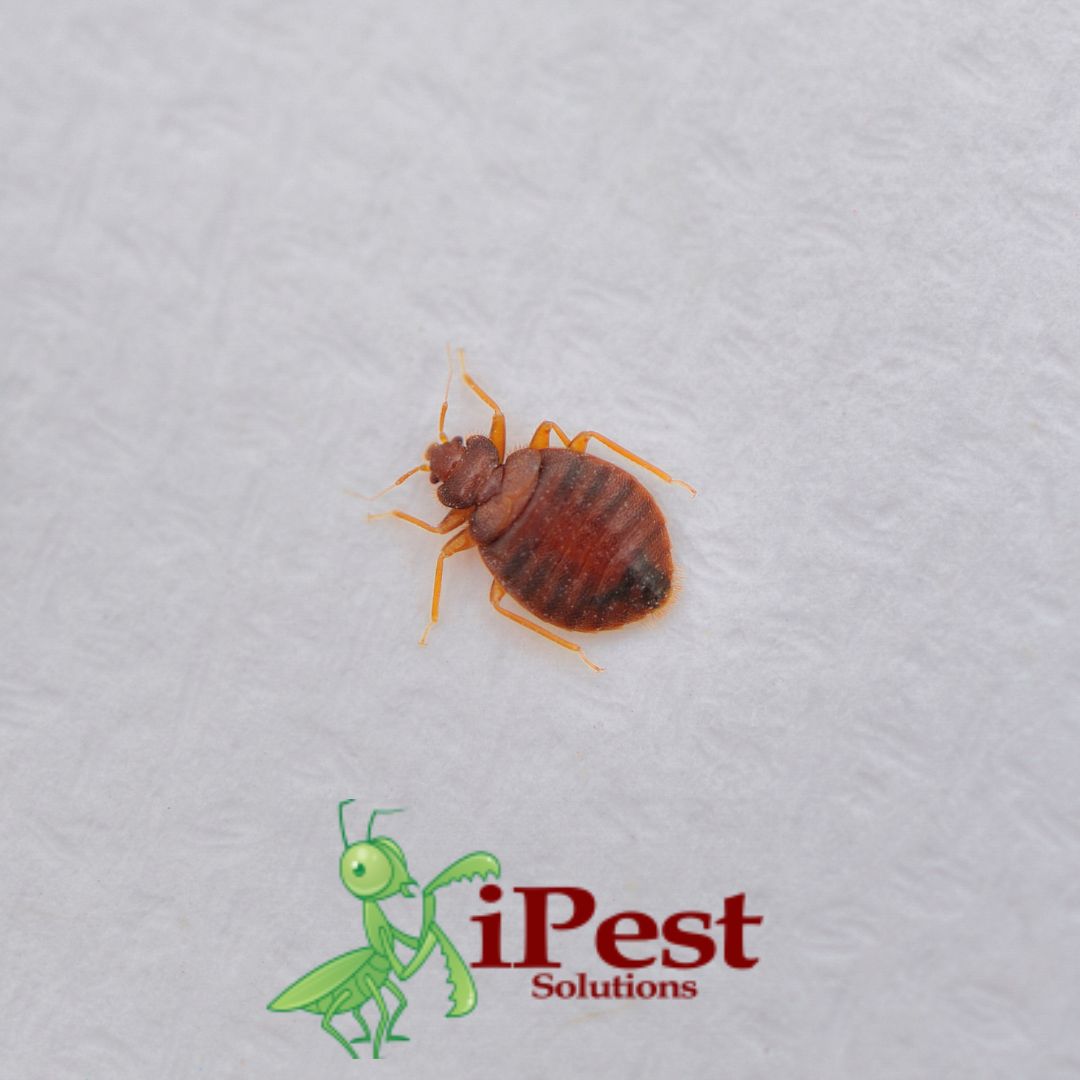 Untitled design – 2023-07-06T151014.865