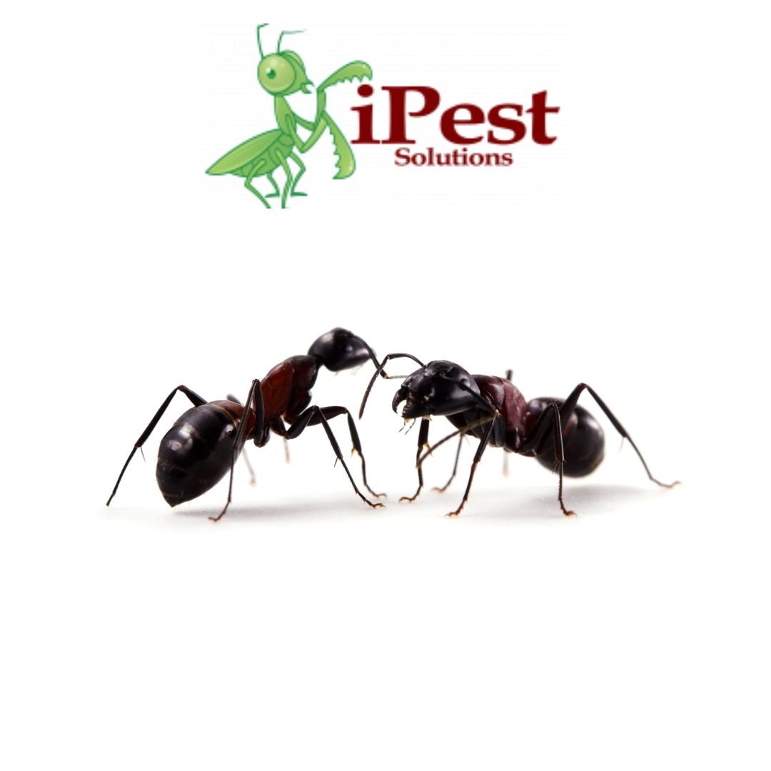 Untitled design (27)