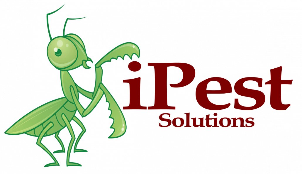 Austin Pest Control Company